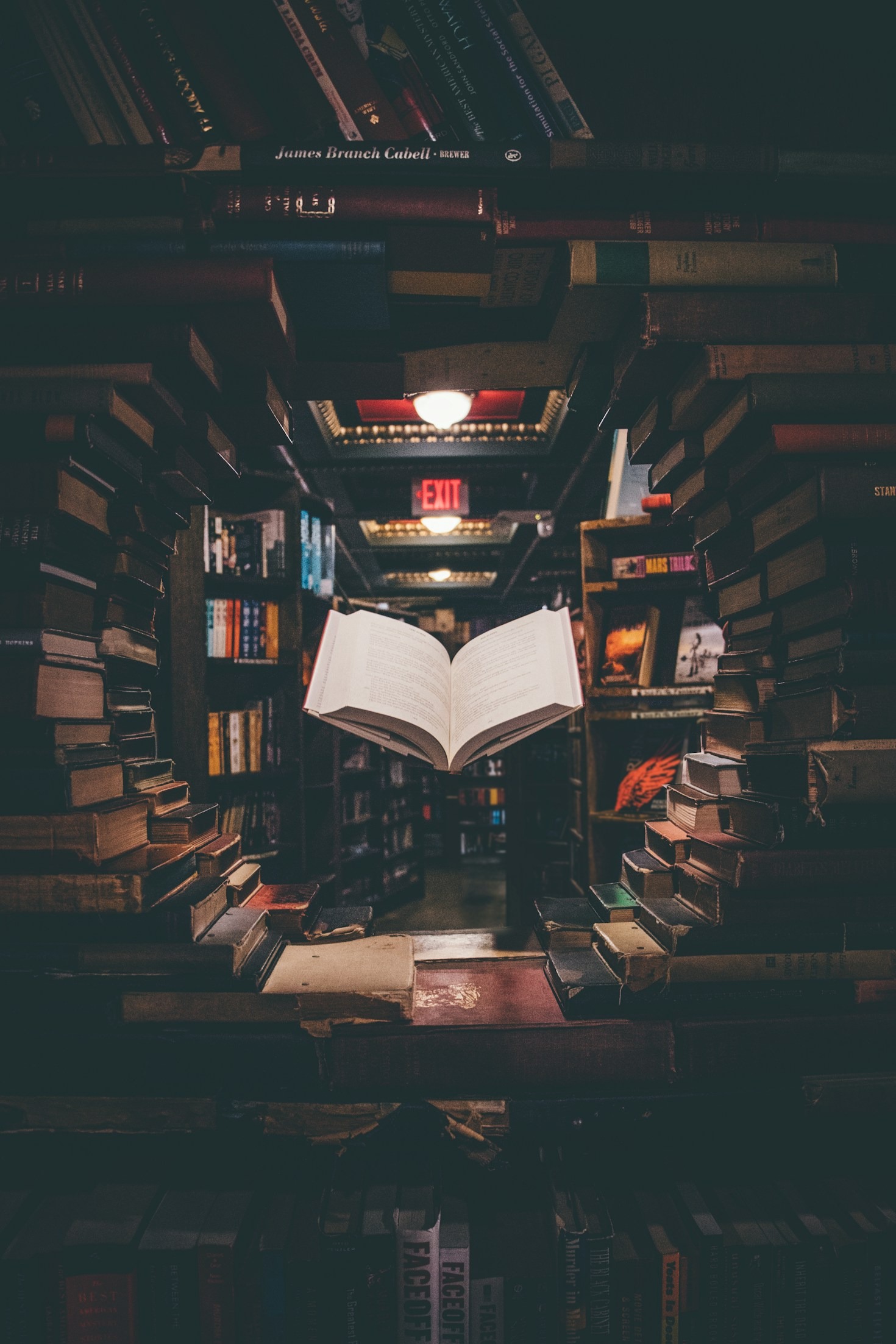 Real-Life Stories of Language Learning Success